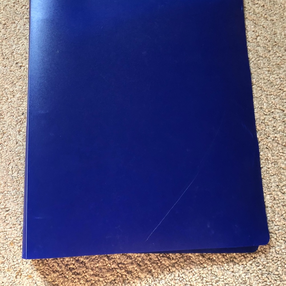 Set Of Three: Three- Ringed Binders - Picture 4 of 8